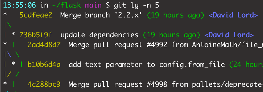 custom git log output