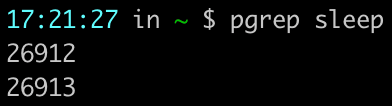 screenshot of "pgrep sleep"